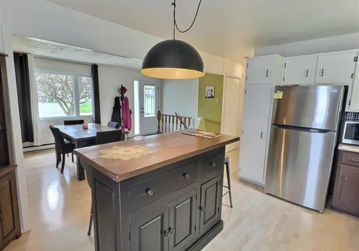 Maison à vendre - 22 Rue Belmont, Victoriaville, G6P 8T5