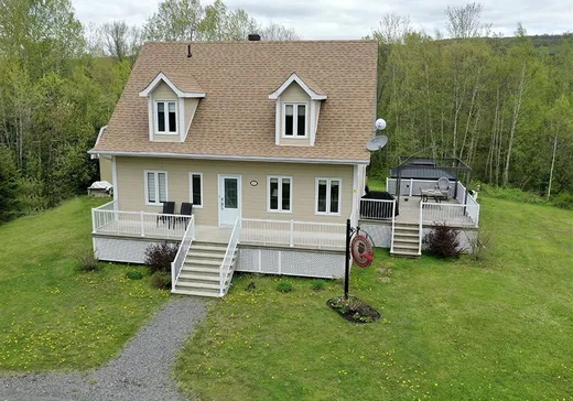 Maison à vendre - 60 Ch. Bourdeau, Saint-Herménégilde, J0B 2W0