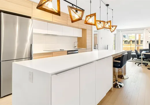 Condo à vendre - 350 Rue Eleanor, Montréal (Ville-Marie), H3C 0T5