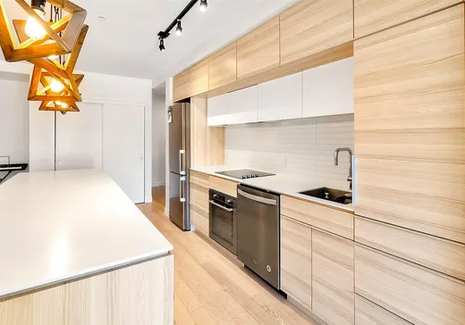 Condo à vendre - 350 Rue Eleanor, Montréal (Ville-Marie), H3C 0T5