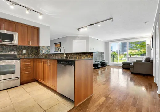 Condo for sale - 650 Rue Jean-D'Estrées, Montreal (Downtown), H3C 0G3