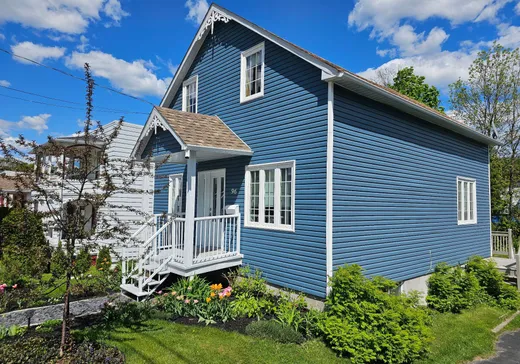Maison à vendre - 96 Rue Thibodeau, Sainte-Agathe-des-Monts, J8C 2M2