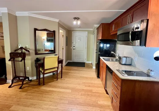 Condo à vendre - 500 Ch. des Frênes, Saint-Sauveur, J0R 1K0