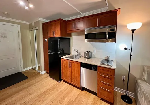 Condo à vendre - 500 Ch. des Frênes, Saint-Sauveur, J0R 1K0