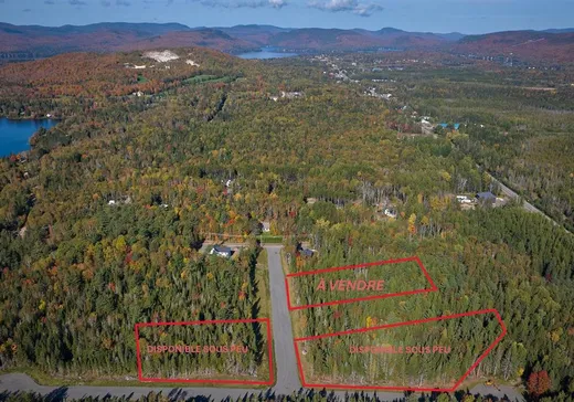 Bungalow à vendre -  Chemin Joseph-Robert, St-Donat-De-Montcalm, J0T2C0