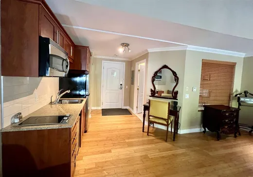 Condo à vendre - 500 Ch. des Frênes, Saint-Sauveur, J0R 1K0