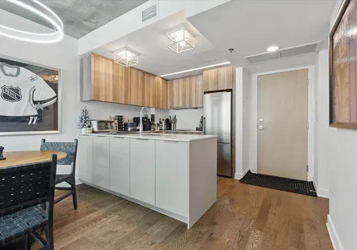 Condo for sale - 101 Rue Peel, Montreal (Downtown), H3C 0Y1