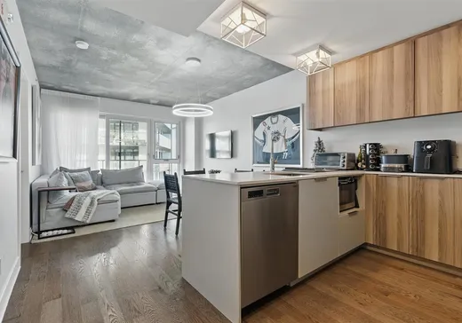 Condo for sale - 101 Rue Peel, Montreal (Downtown), H3C 0Y1