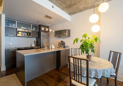 Condo à vendre - 225 Rue de la Montagne, Montréal (Ville-Marie), H3C 2A6