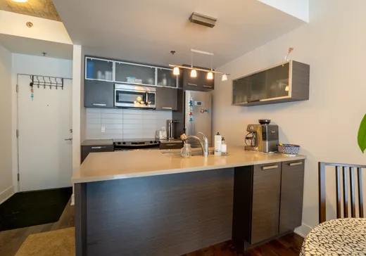 Condo à vendre - 225 Rue de la Montagne, Montréal (Ville-Marie), H3C 2A6