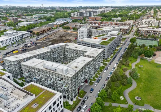 Condo à vendre - 4220 Rue Augustin-Frigon, Montréal (Rosemont–La Petite-Patrie), H1Y0C4