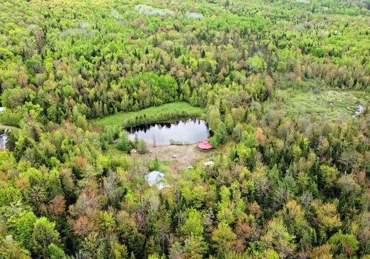 Maison à vendre - 5045 Grand rg Ste-Catherine, Saint-Cuthbert, J0K 2C0