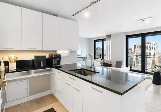Condo for sale - 1000 Rue Ottawa, Montreal (Downtown), H3C 0P3