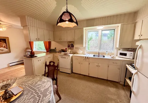 Maison à vendre - 570 Rue du Coteau, La Tuque, G9X 2A6