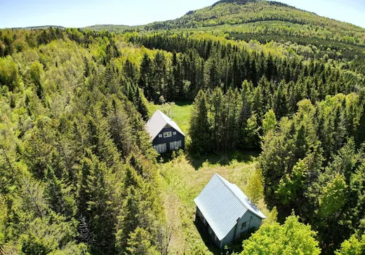 Hobby Farm for sale - 1271 Route 161, Saints-Martyrs-Canadiens, G0P 1A0