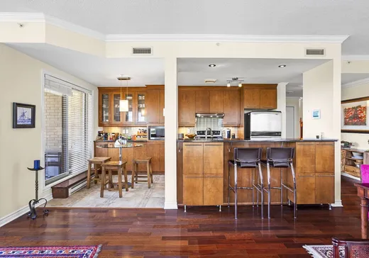 Condo for sale - 8580 Rue Raymond-Pelletier 508, Montreal (Ahuntsic/Cartierville), H2M 2W7
