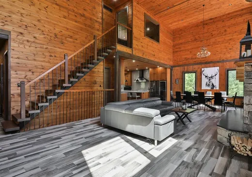Maison à vendre - 211 Ch. Camélia, St-Adolphe d'Howard, J0T 2B0