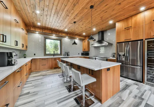 Maison à vendre - 211 Ch. Camélia, St-Adolphe d'Howard, J0T 2B0