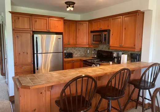 Condo à vendre - 225 Rue du Mont-Plaisant, Mont-Tremblant, J8E 1L2