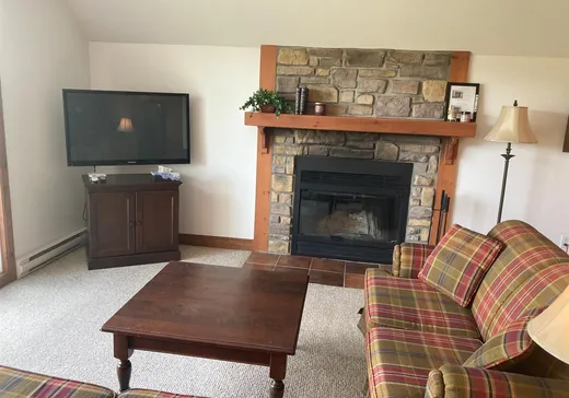 Condo à vendre - 225 Rue du Mont-Plaisant, Mont-Tremblant, J8E 1L2