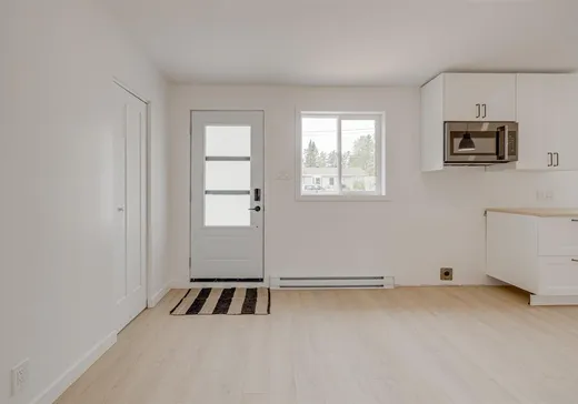 Maison à vendre - 1115 Ch. de Bourg-Louis, Saint-Raymond, G3L 4G7