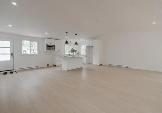 Maison à vendre - 1115 Ch. de Bourg-Louis, Saint-Raymond, G3L 4G7
