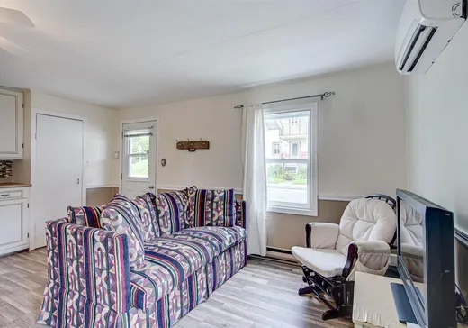 Maison à vendre - 161 Rue St-Vincent, Sainte-Agathe-des-Monts, J8C 2B5