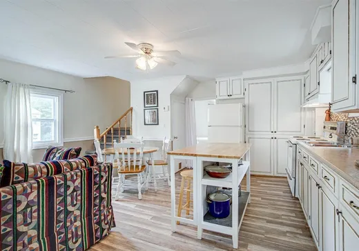 Maison à vendre - 161 Rue St-Vincent, Sainte-Agathe-des-Monts, J8C 2B5