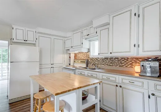 Maison à vendre - 161 Rue St-Vincent, Sainte-Agathe-des-Monts, J8C 2B5