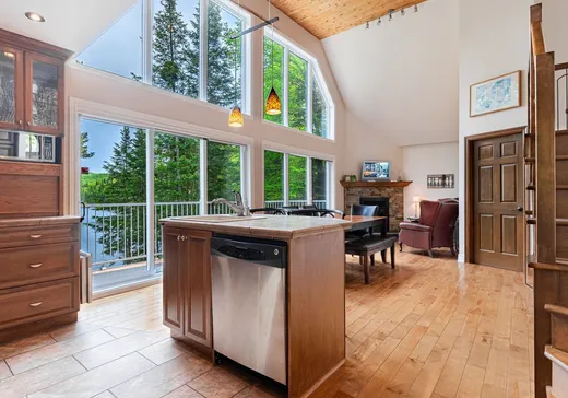 Maison à vendre - 301 Ch. des Tilleuls, St-Adolphe d'Howard, J0T 2B0