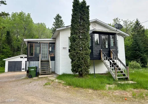 Maison à vendre - 807 Ch. de la Rivière-Croche, La Croche, G0X 1R0