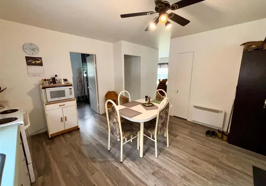 Maison à vendre - 807 Ch. de la Rivière-Croche, La Croche, G0X 1R0