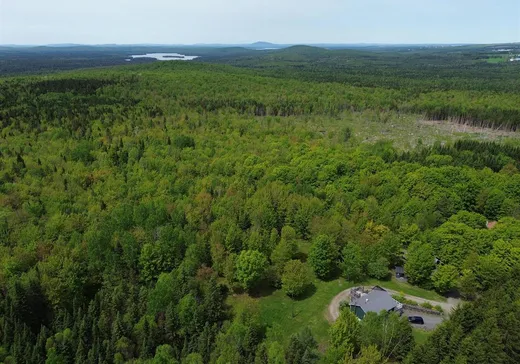 Maison à vendre - 552 Route 108, St-Romain, G0Y 1L0