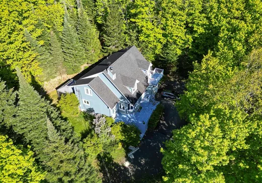 Maison à étages à vendre - 1510 Rue Ovide, Val David, J0T2N0