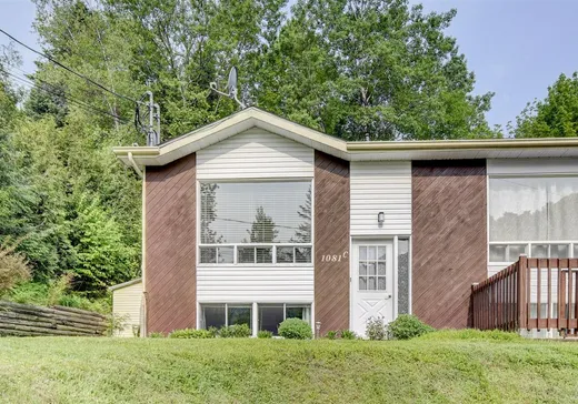 Bungalow à vendre - 1081C Rue Levac, Sainte-Agathe-des-Monts, J8C0G7