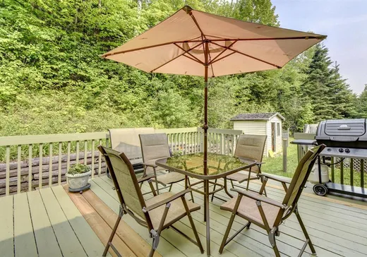 Maison à vendre - 1081C Rue Levac, Sainte-Agathe-des-Monts, J8C 0G7