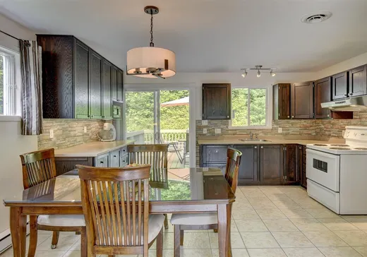 Maison à vendre - 1081C Rue Levac, Sainte-Agathe-des-Monts, J8C 0G7