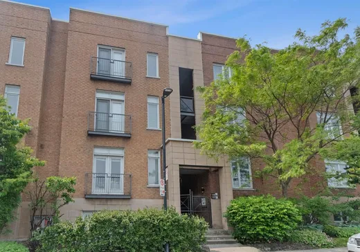 Condo à vendre - 5450 Rue de Mentana, Montréal (Plateau-Mont-Royal), H2J4B3