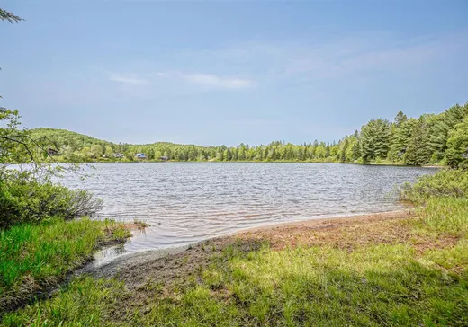 Maison à vendre - 628 Ch. Réjean, Sainte-Agathe-des-Monts, J8C 0N6