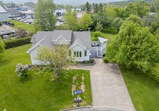House for sale - 303 Av. du Ruisseau, Lac-Etchemin, G0R 1S0