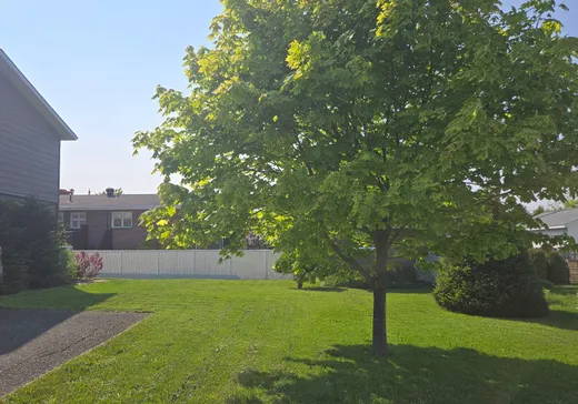 Maison à vendre - 240 Rue Le Mercier, Matane, G4W 2L8