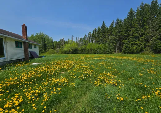 Maison à vendre - 469 Ch. Kempt, Causapscal, G0J 1J0