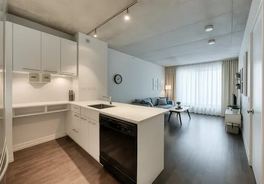 Condo à vendre - 1414 Rue Chomedey, Montréal (Ville-Marie), H3H 0A2