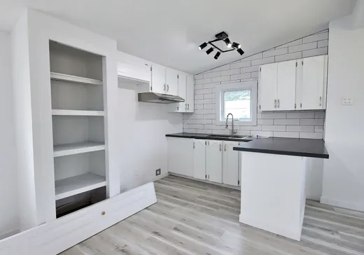 Maison à vendre - 545 La Grande-Caroline, Saint-Césaire, J0L 1M0