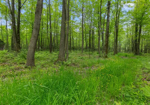 Maison à vendre - 782 8e Rang O., Plessisville, G6L 4C4