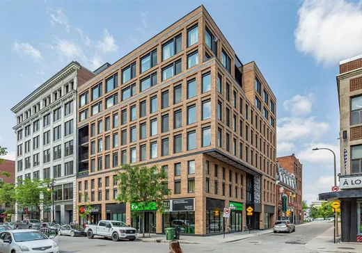 Condo à vendre - 1406 Rue Ste-Élisabeth, Montréal (Centreville), H2X0E7