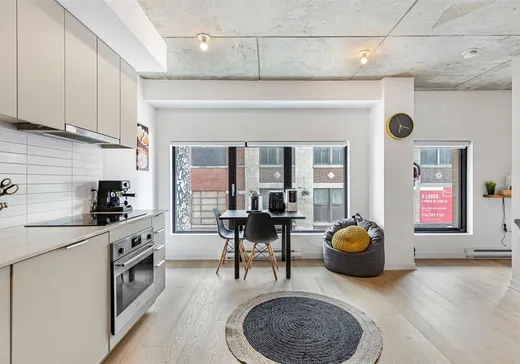 Condo à vendre - 1406 Rue Ste-Élisabeth, Montréal (Centreville), H2X 0E7