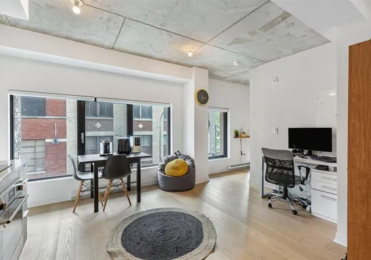 Condo à vendre - 1406 Rue Ste-Élisabeth, Montréal (Centreville), H2X 0E7