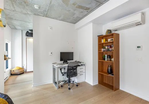 Condo à vendre - 1406 Rue Ste-Élisabeth, Montréal (Centreville), H2X 0E7