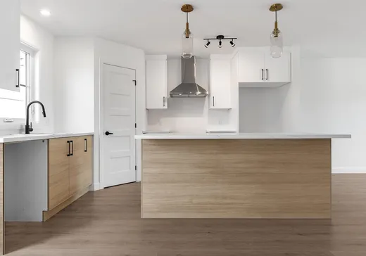Maison à vendre -  Rue du Havre, Les Chutes-de-la-Chaudière-Ouest, G6J 0R2